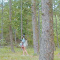 Digital Video Editing with Adobe Premiere Pro: The Real-World Guide to Set Up and Workflow Korean Movie photo