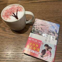 Love Like the Falling Petals Japanese Movie photo