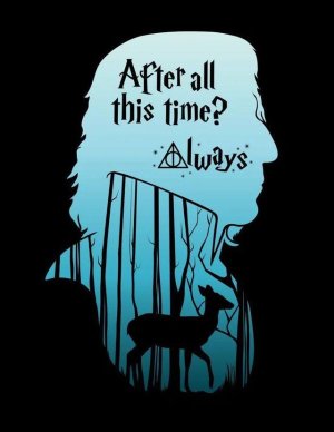 Pouletpotter
