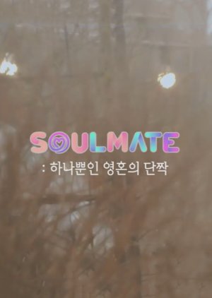 Time to Twice: Soulmate (2022) poster
