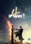 Ip Man 4 hong kong drama review