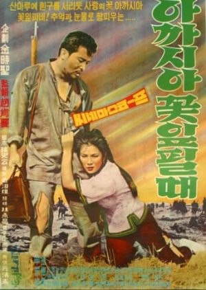 When Acacias Bloom (1962) poster