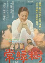 Evergreen Tree Korean Movie photo