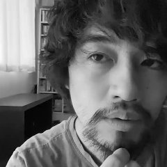 The 12 Day Tale of the Monster that Died in 8 Japanese Movie photo