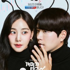 Stock Struck Korean Drama photo