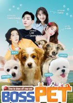 Boss Pet Korean TV Program photo