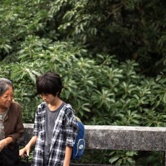 Wild Sparrow Taiwanese Movie photo