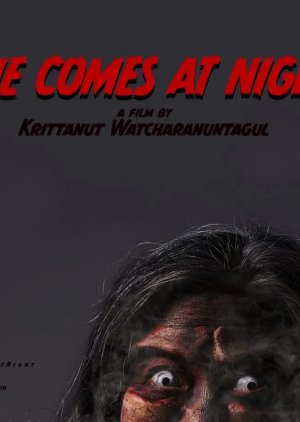 She Comes at Night () poster