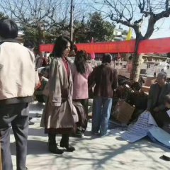 Tiger Wolf Rabbit Chinese Movie photo