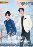 Perfect Mismatch chinese drama review