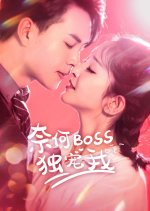 Nai He Boss Du Chong Wo Chinese Drama photo