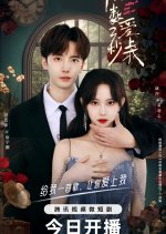 True False Love (2023) - MyDramaList