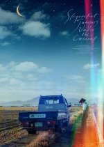 Unknown Narrative: Skyrocket Junipers Under the Crescent Korean Movie photo