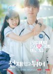 Lovely Runner korean drama review