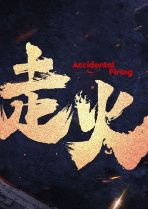 Accidental Firing () poster