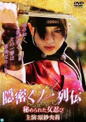 The Secret Female Ninja (2010) poster