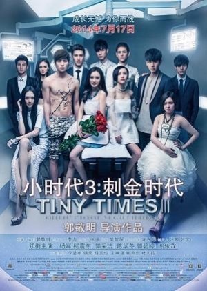 Tiny Times 3  (2014) poster