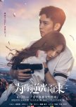 Love of Replica chinese drama review