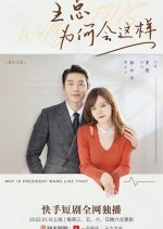 Why Is President Wang Like This? Chinese Drama photo
