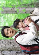 Nishimura Kyotaro Suspense: Tenshi no Shokon Japanese Drama photo