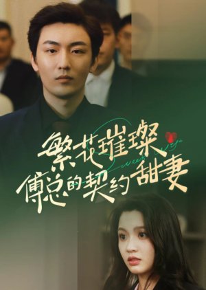 Sweet Wife (2024) poster