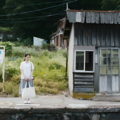 Summer Blooms Japanese Movie photo