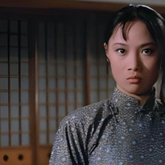 Hapkido Hong Kong Movie photo