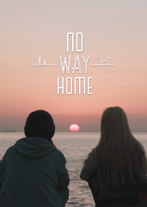 No Way Home (2024) poster