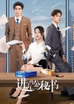 Jin Secretary chinese drama review