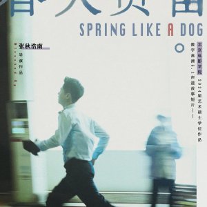 Spring Like a Dog (2024)