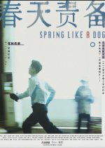 Spring Like a Dog