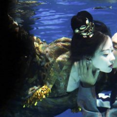 The Rise of Phoenixes Chinese Drama photo