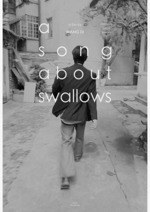 A Song about Swallows (2024) poster