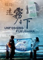 Unfogging Fukushima