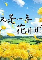 You Shi Yi Nian Hua Kai Shi Chinese Drama photo