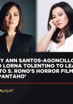 Scarecrow Philippines Movie(2024) photo