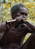 The Tree Remembers Taiwanese Movie photo