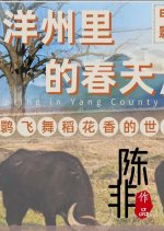 Spring in Yang County Chinese Movie photo