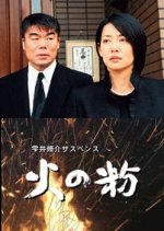 Hi no Ko Japanese Drama(2005) photo