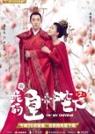 Chinese Drama Recommendations: Idol Dramas