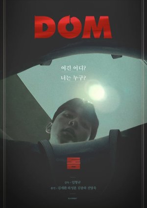 Dom (2017) poster