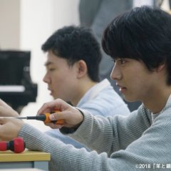 The Forest of Wool and Steel Japanese Movie photo