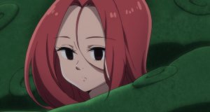 Gloxinia6