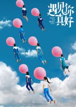 Nice to Meet You Chinese Movie(2018) photo