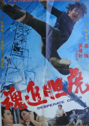 Desperate Crisis (1974) poster