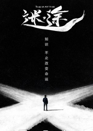 Light on Series: Mi Tu () poster