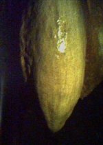 October Rumbles Thai Movie photo