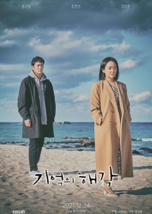 Drama Special Season 12 (2021) poster
