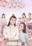 Maid Escort chinese drama review