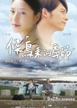 My Dear Stilt Taiwanese Movie photo